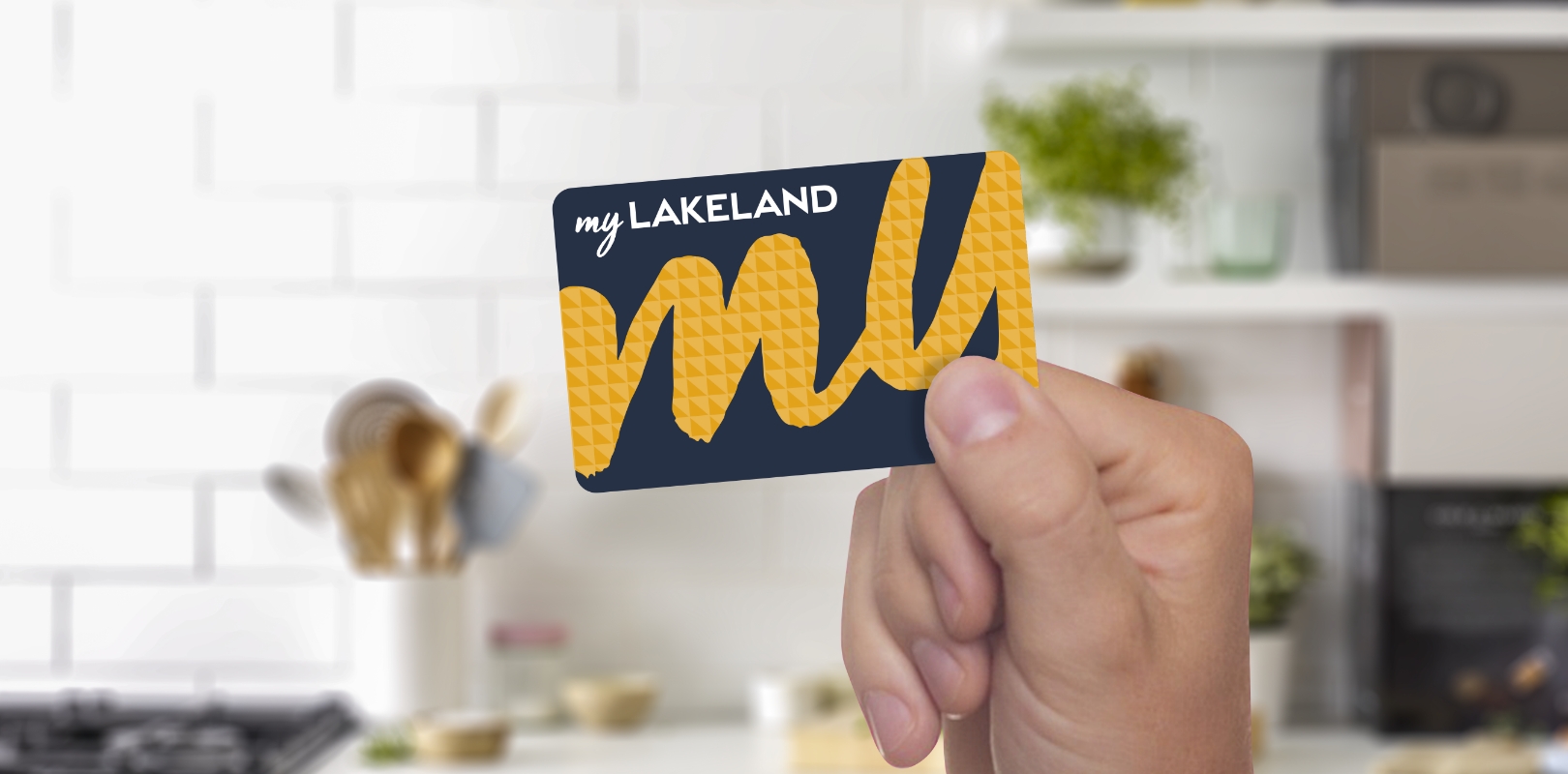 myLakeland card