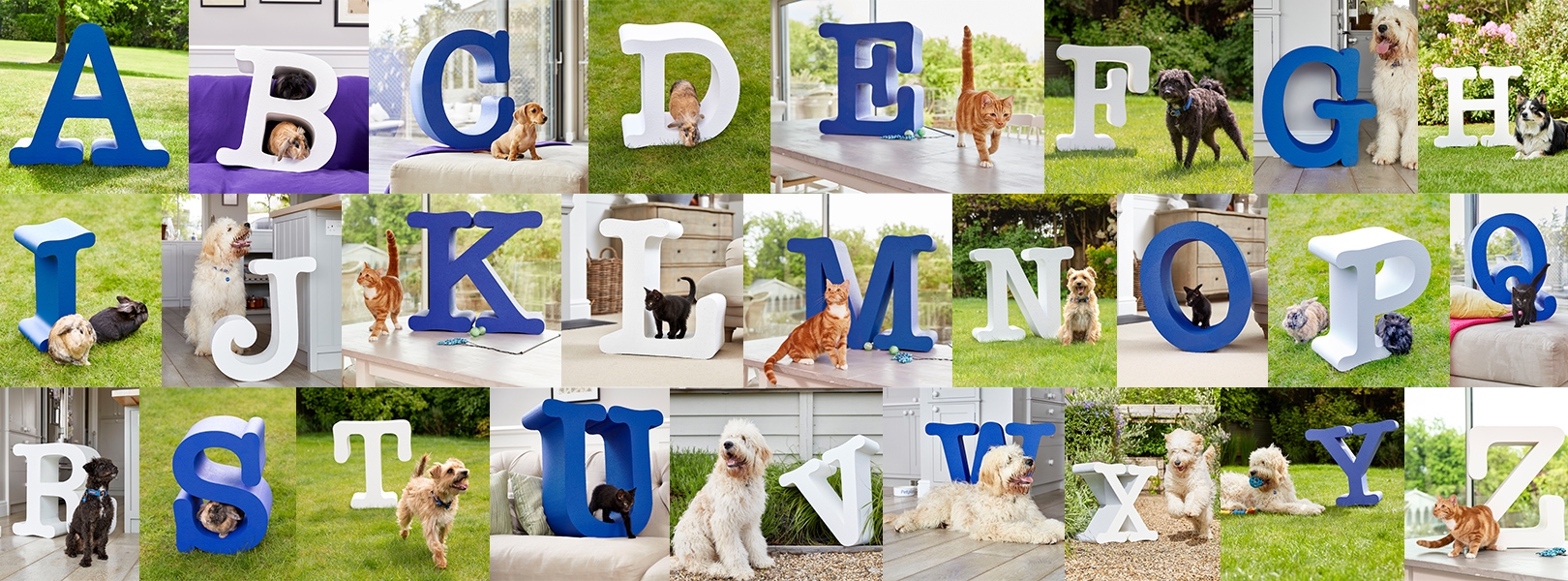 Petplan AtoZ