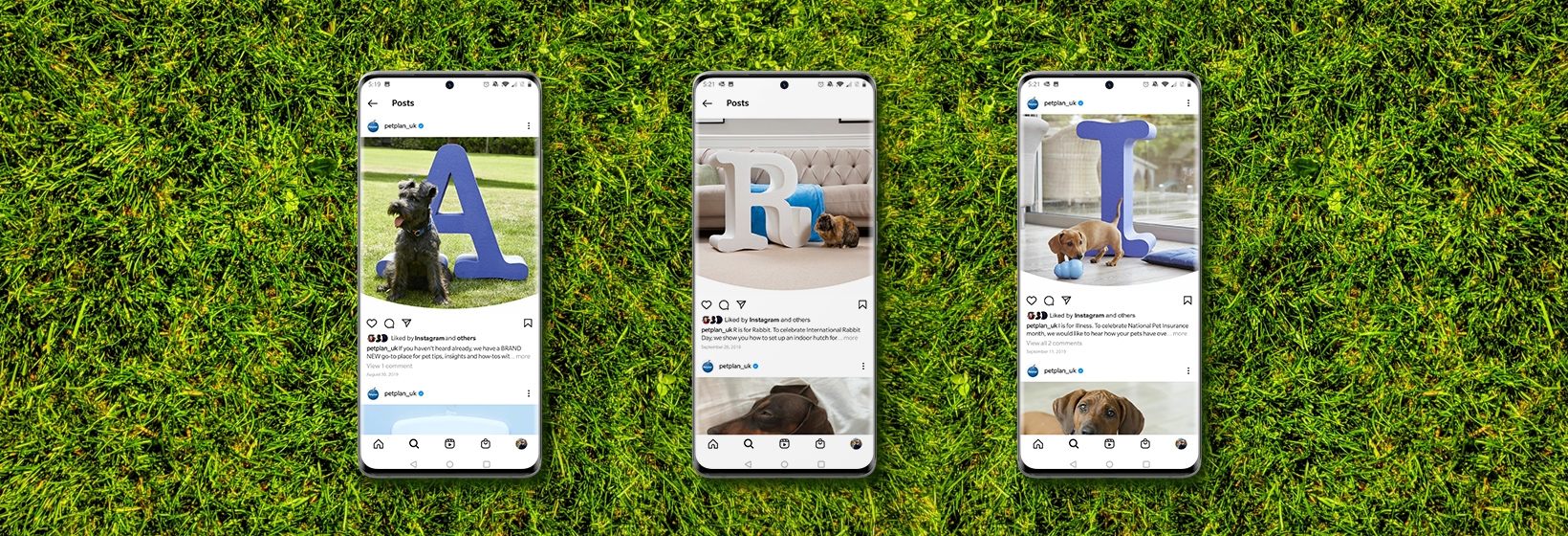 Petplan AtoZ social posts