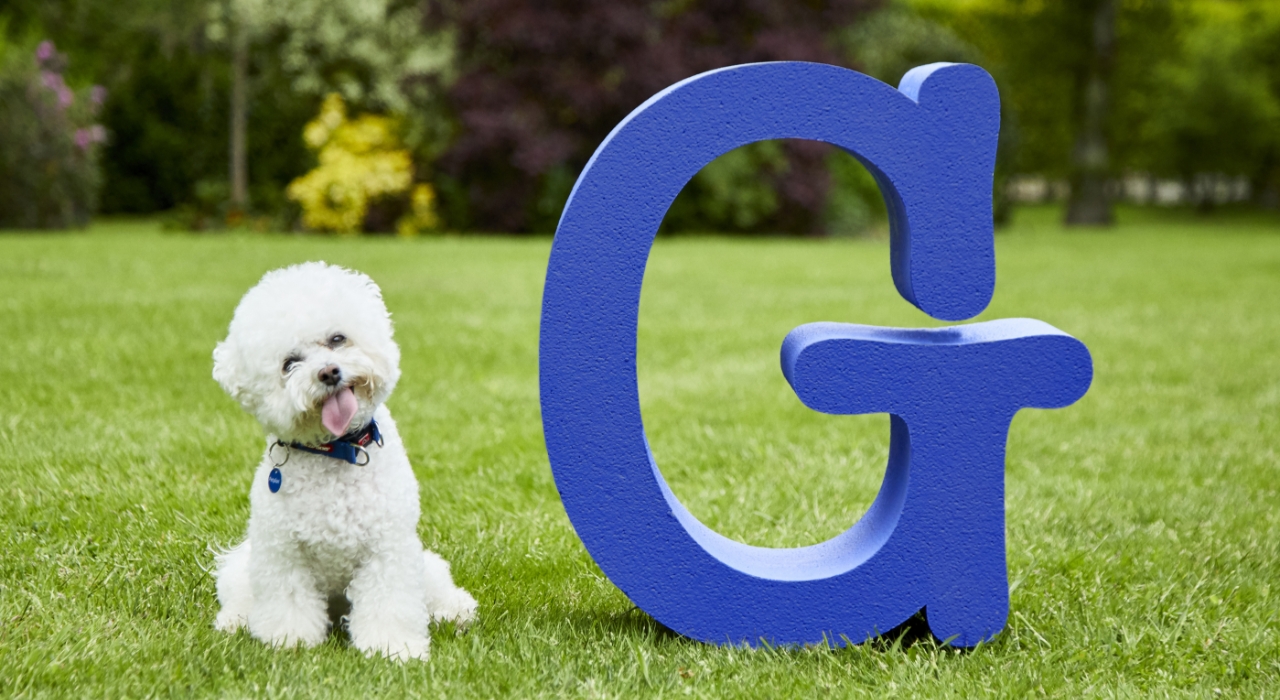 Petplan AtoZ G