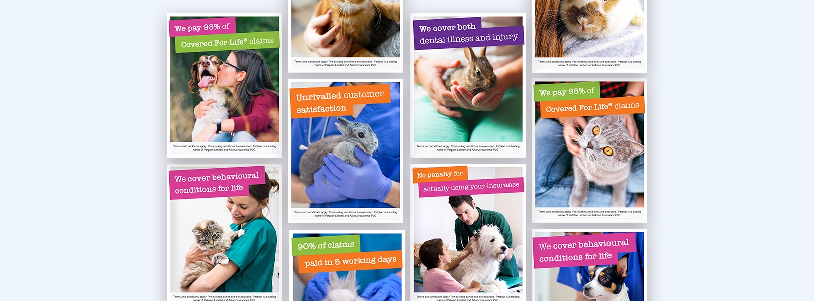 Petplan Best Care social posts
