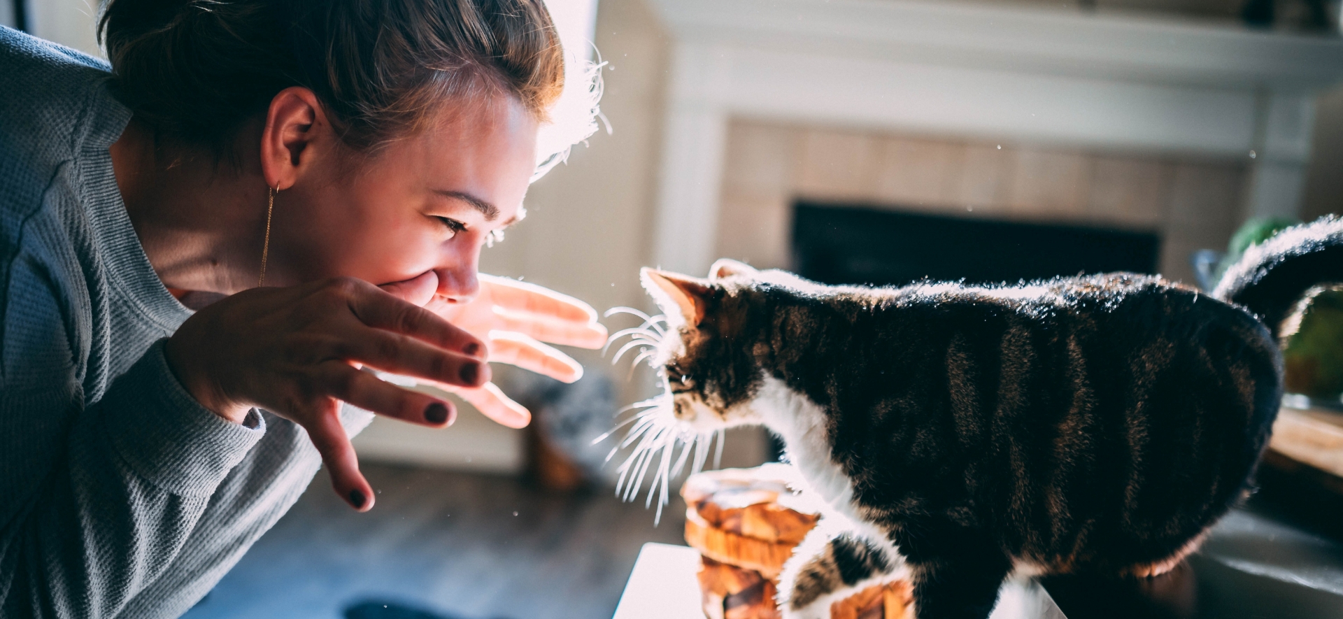 millennials pet sector