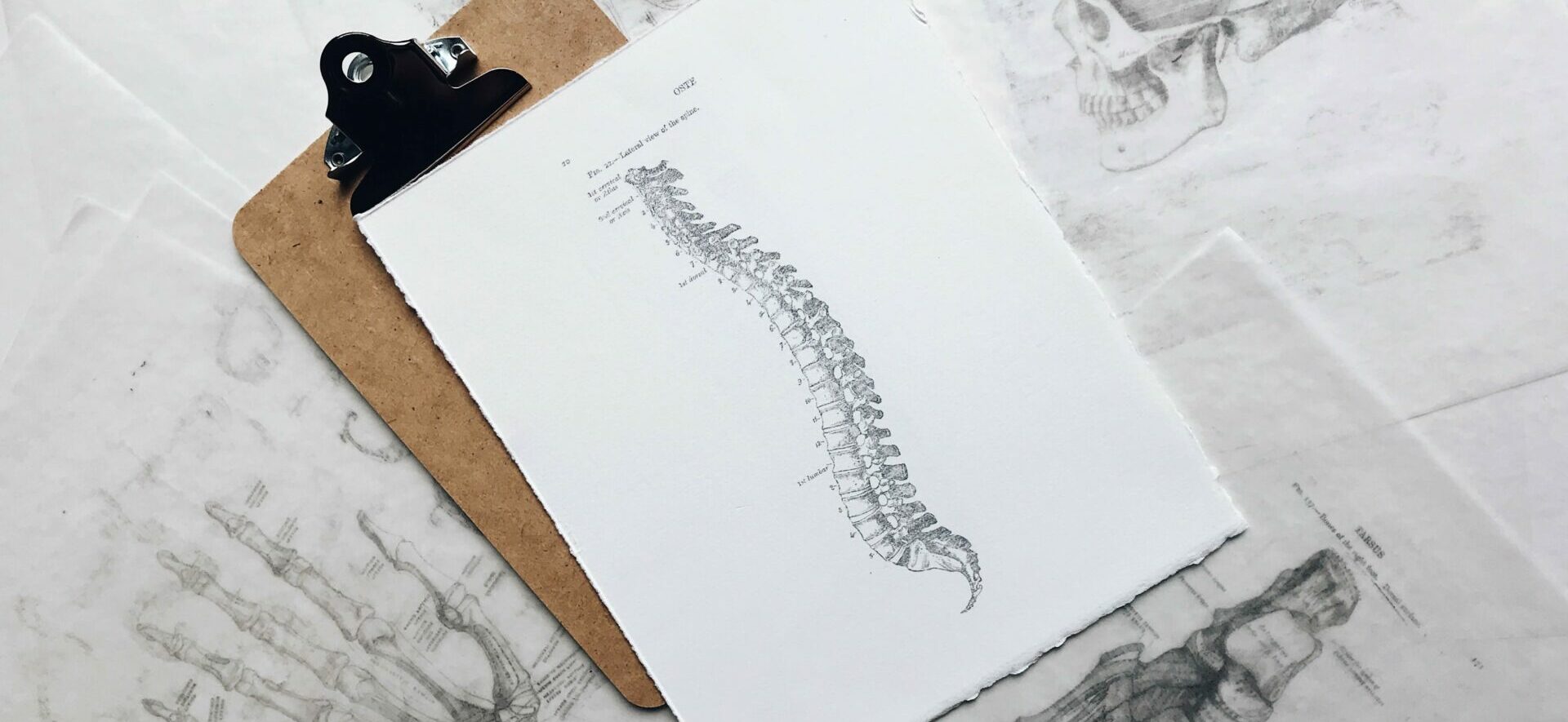 chiropractor marketing