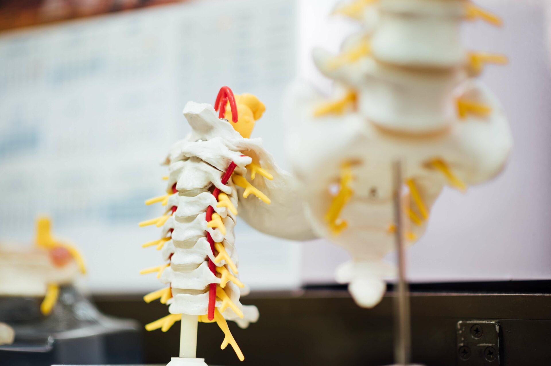 chiropractor marketing 2
