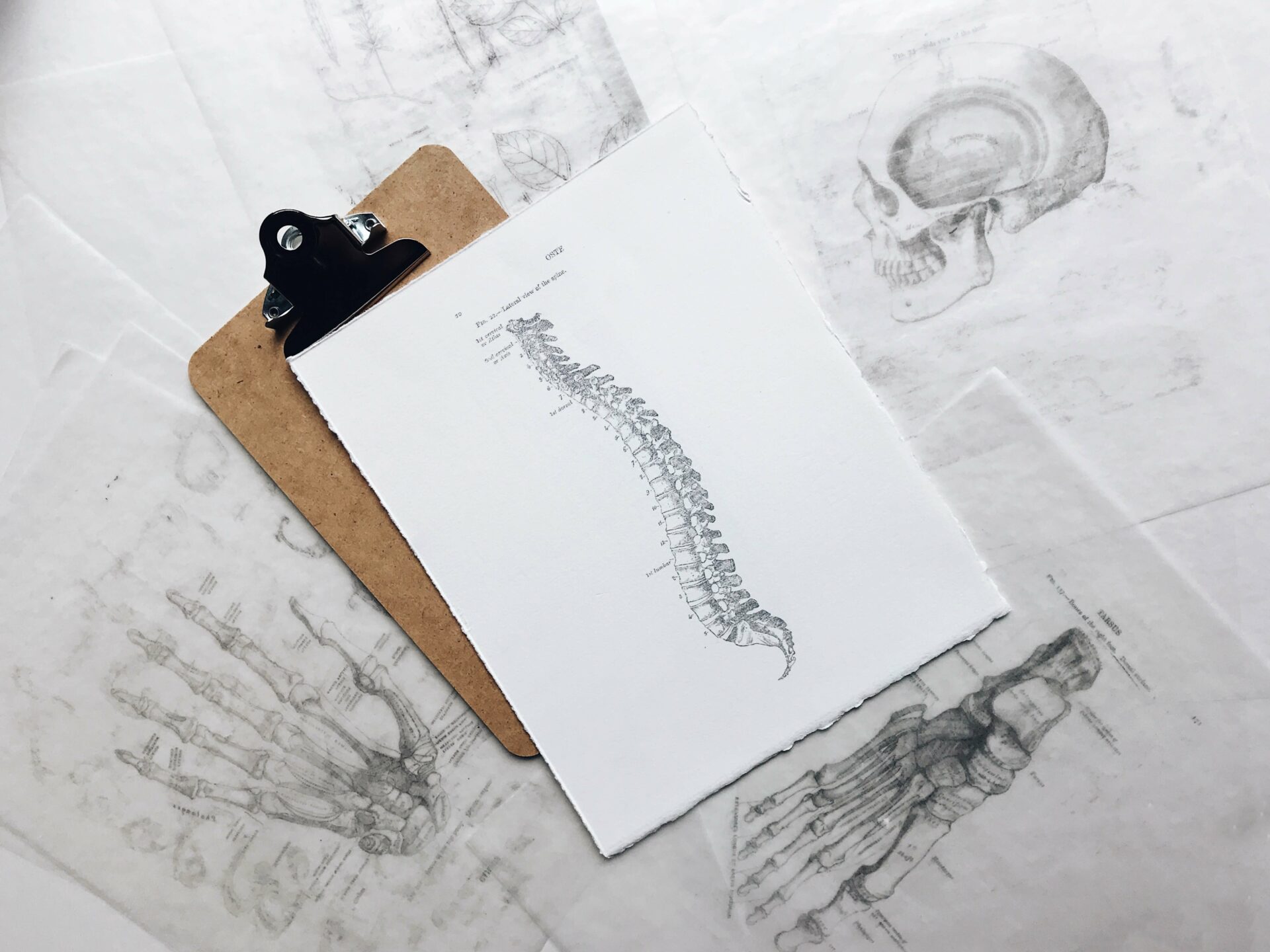 chiropractor marketing